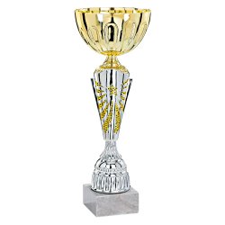 Slvpokal/Guld - Esbjerg