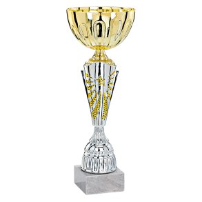 Slvpokal/Guld - Esbjerg