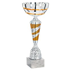 Slvpokal - Snderborg