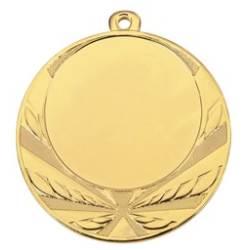K�mpe Medalje med plads til emblem eller eget logo.