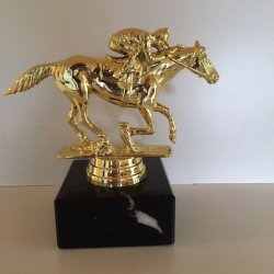 Galophest med rytter