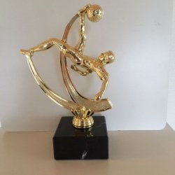 Fodbold - Saksespark