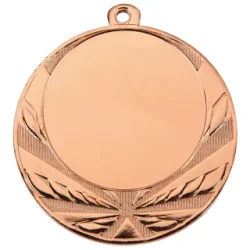 K�mpe Medalje med plads til emblem eller eget logo.