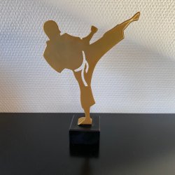 Karatesparker metal 21 cm